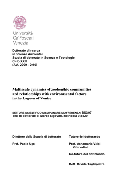 Multiscale Dynamics of Zoobenthic Communities and Relationships with Environmental Factors in the Lagoon of Venice