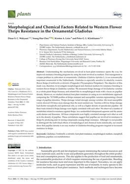 Morphological and Chemical Factors Related to Western Flower Thrips Resistance in the Ornamental Gladiolus