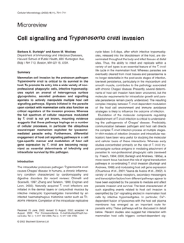 Cell Signalling and Trypanosoma Cruzi Invasionb