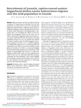 Recruitment of Juvenile, Captive-Reared Eastern Loggerhead Shrikes Lanius Ludovicianus Migrans Into the Wild Population in Canada