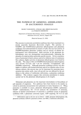 The Enzymes in Ammonia Assimilation Pathways Have Been Examined in a Strictly Anaerobic Bacterium Bacteroides Fragilis