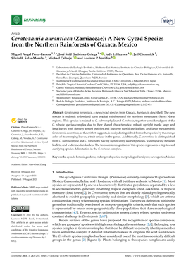 Ceratozamia Aurantiaca (Zamiaceae): a New Cycad Species from the Northern Rainforests of Oaxaca, Mexico