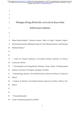 Nitrogen-Fixing Klebsiella Variicola in Feces from Herbivorous Tortoises