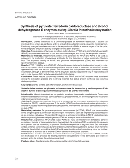 Ferredoxin Oxidoreductase and Alcohol Dehydrogenase E Enzymes During