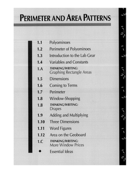 Perimeter of Polyominoes Are Related