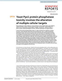 Yeast Ppz1 Protein Phosphatase Toxicity Involves the Alteration of Multiple Cellular Targets