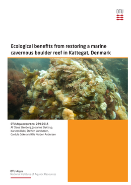 Ecological Benefits from Restoring a Marine Cavernous Boulder Reef in Kattegat, Denmark