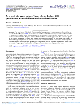 New Fossil Stilt-Legged Mites of Neophyllobius Berlese, 1886 (Acariformes, Camerobiidae) from Eocene Baltic Amber