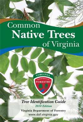 Common Native Trees of Virginia