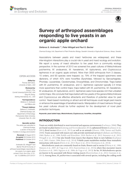 Survey of Arthropod Assemblages Responding to Live Yeasts in an Organic Apple Orchard