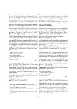 Descrizione Unità Topografica – in Prossimità Del Punto Di Confine