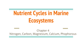 Nutrient Cycles in Marine Ecosystems