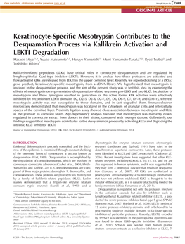 Keratinocyte-Specific Mesotrypsin Contributes to the Desquamation