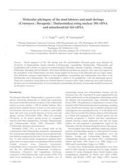 Crustacea: Decapoda: Thalassinidea) Using Nuclear 18S Rdna and Mitochondrial16s Rdna