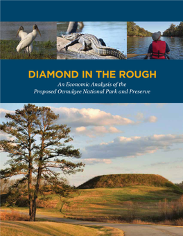 DIAMOND in the ROUGH an Economic Analysis of the Proposed Ocmulgee National Park and Preserve WRITING S