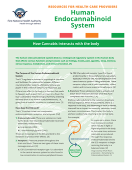 Human Endocannabinoid System