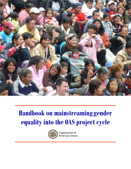 What Is Gender Mainstreaming?