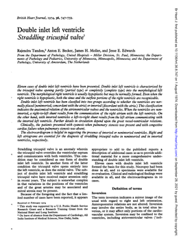 Straddling Tricuspid Valve'