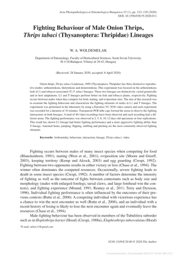 Fighting Behaviour of Male Onion Thrips, Thrips Tabaci (Thysanoptera: Thripidae) Lineages