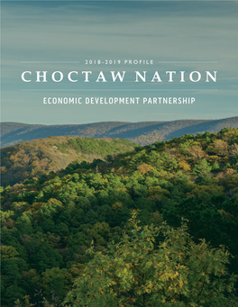 Choctaw Nation-Community Profile-2020-V17-Inside.Indd