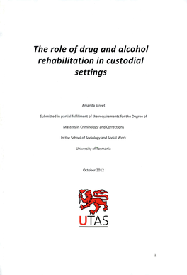 The Role of Drug and Alcohol Rehabilitation in Custodial Settings