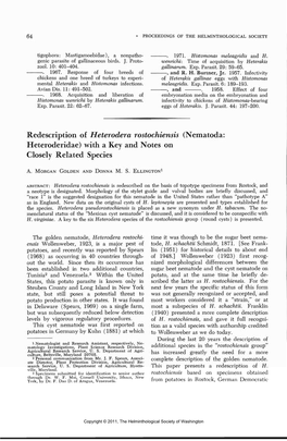 Redescription of Heterodera Rostochiensis (Nematoda: Heteroderidae) with a Key and Notes on Closely Related Species