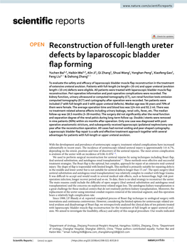 Reconstruction of Full-Length Ureter Defects by Laparoscopic Bladder