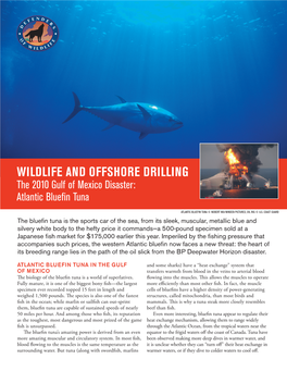 Wildlife and Offshore Drilling the 2010 Gulf of Mexico Disaster: Atlantic Bluefin Tuna