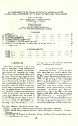 Gastropoda: Muricidae) , with One New Species of Risomurex