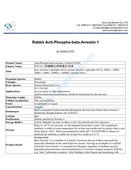 Rabbit Anti-Phospho-Beta-Arrestin 1-SL3048R-FITC