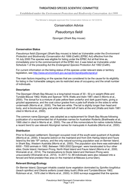 Conservation Advice Pseudomys Fieldi Djoongari (Shark Bay Mouse)
