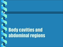 Body Cavities and Abdominal Regions Body Cavities
