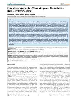 Encephalomyocarditis Virus Viroporin 2B Activates NLRP3 Inflammasome