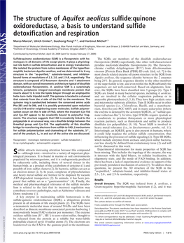 The Structure of Aquifex Aeolicus Sulfide:Quinone Oxidoreductase, a Basis to Understand Sulfide Detoxification and Respiration