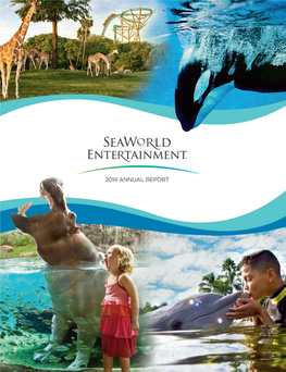 Seaworld Entertainment’S New President and Chief Executive OCer