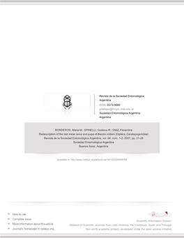 Redalyc.Redescription of the Last Instar Larva and Pupa of Bezzia