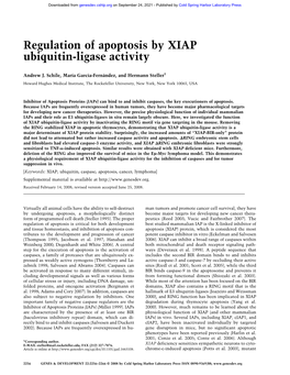 Regulation of Apoptosis by XIAP Ubiquitin-Ligase Activity
