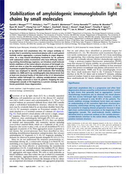 Stabilization of Amyloidogenic Immunoglobulin Light Chains by Small Molecules