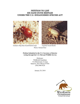 Petition to List Six Sand Dune Beetles Under the U.S. Endangered Species Act