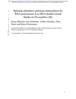 Splicing Stimulates Antisense Transcription by RNA Polymerase II at DNA Double-Strand Breaks in Drosophila Cells