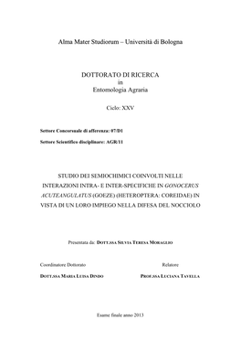 Università Di Bologna DOTTORATO DI RICERCA In