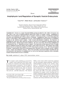 Amphiphysin I and Regulation of Synaptic Vesicle Endocytosis