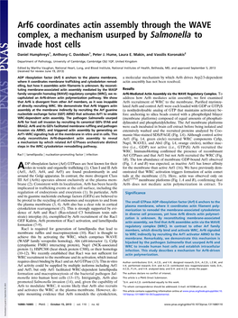 Arf6 Coordinates Actin Assembly Through the WAVE Complex, a Mechanism Usurped by Salmonella to Invade Host Cells