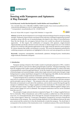 Sensing with Nanopores and Aptamers: a Way Forward