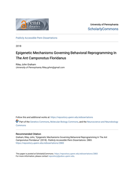 Epigenetic Mechanisms Governing Behavioral Reprogramming in the Ant Camponotus Floridanus