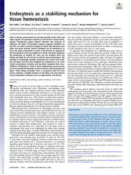 Endocytosis As a Stabilizing Mechanism for Tissue Homeostasis