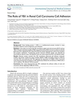 The Role of YB1 in Renal Cell Carcinoma Cell Adhesion