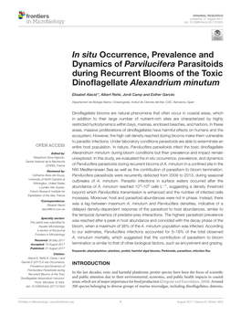 In Situ Occurrence, Prevalence and Dynamics of Parvilucifera Parasitoids During Recurrent Blooms of the Toxic Dinoﬂagellate Alexandrium Minutum