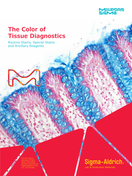 The Color of Tissue Diagnostics Routine Stains, Special Stains and Ancillary Reagents