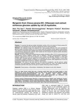 Bergenin from Cissus Javana DC. (Vitaceae) Root Extract Enhances Glucose Uptake by Rat L6 Myotubes